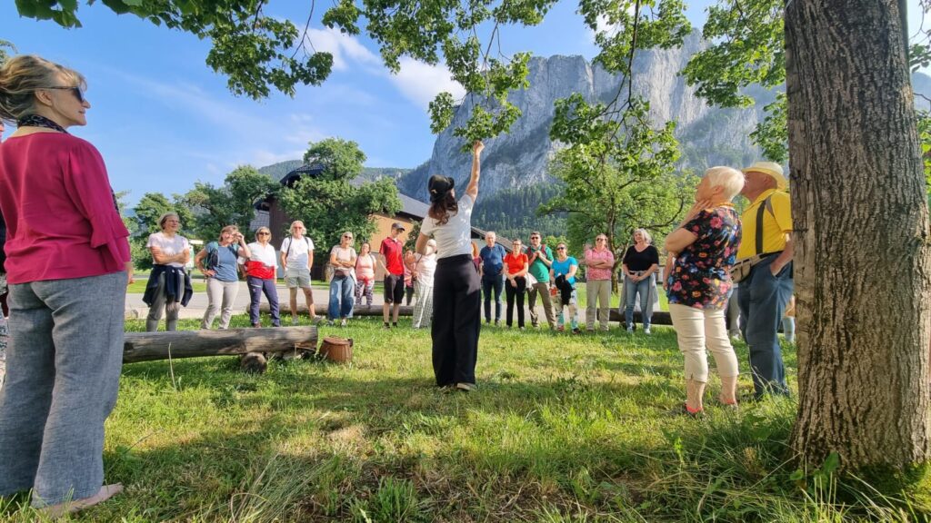 Kraeuterwanderung